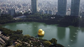 FOTO: 'Bebek' Raksasa Mengambang di Danau Korea Selatan
