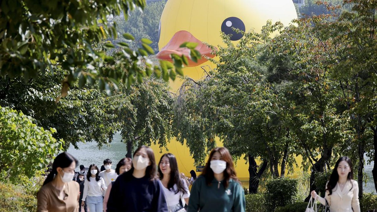 FOTO: 'Bebek' Raksasa Mengambang di Danau Korea Selatan