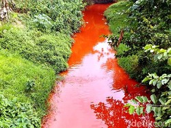 Geger! Air Sungai Cilamayan Karawang Berubah Jadi Darah