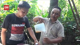 VIDEO: Kisah Inspiratif Budidaya Lebah Membawa Berkah
