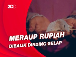 Kisah Pengusaha Walet Dari Sebuah Buku