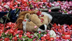 Aremania Ingatkan Jokowi dan Mahfud MD Usut Tuntas Tragedi Kanjuruhan