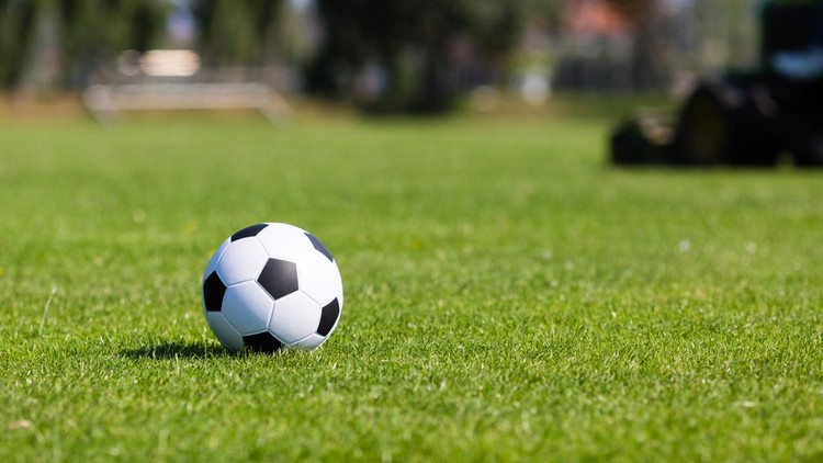 Ilustrasi Ajak Anak Nonton Pertandingan Bola Black and white soccer ball on green soccer pitch.