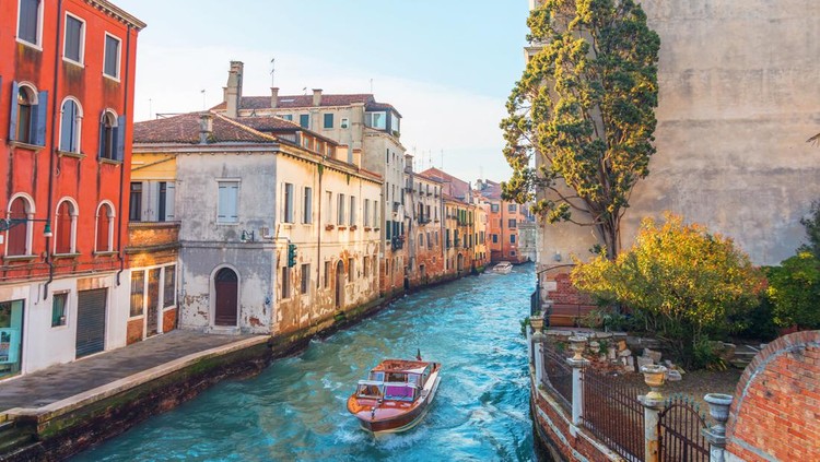 1126771319 Canal in Venice with a small garden and a tree near the house, on the water a small motor boat