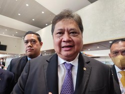 Airlangga Minta Cadangan Beras 555.979 Ton Segera Banjiri Pasar!