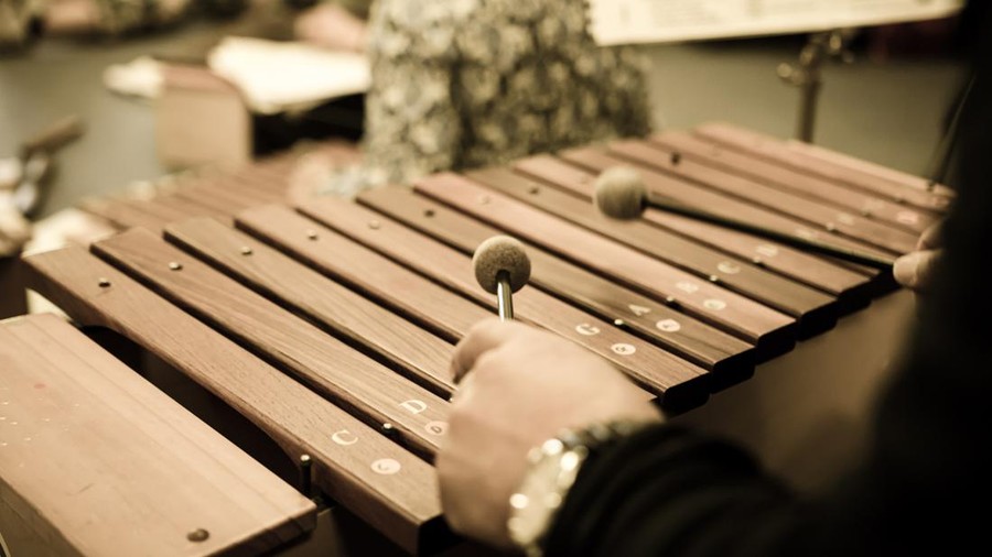 Close up of xylophone players hands