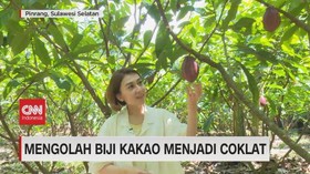 VIDEO: Mengolah Biji Kakao Menjadi Coklat