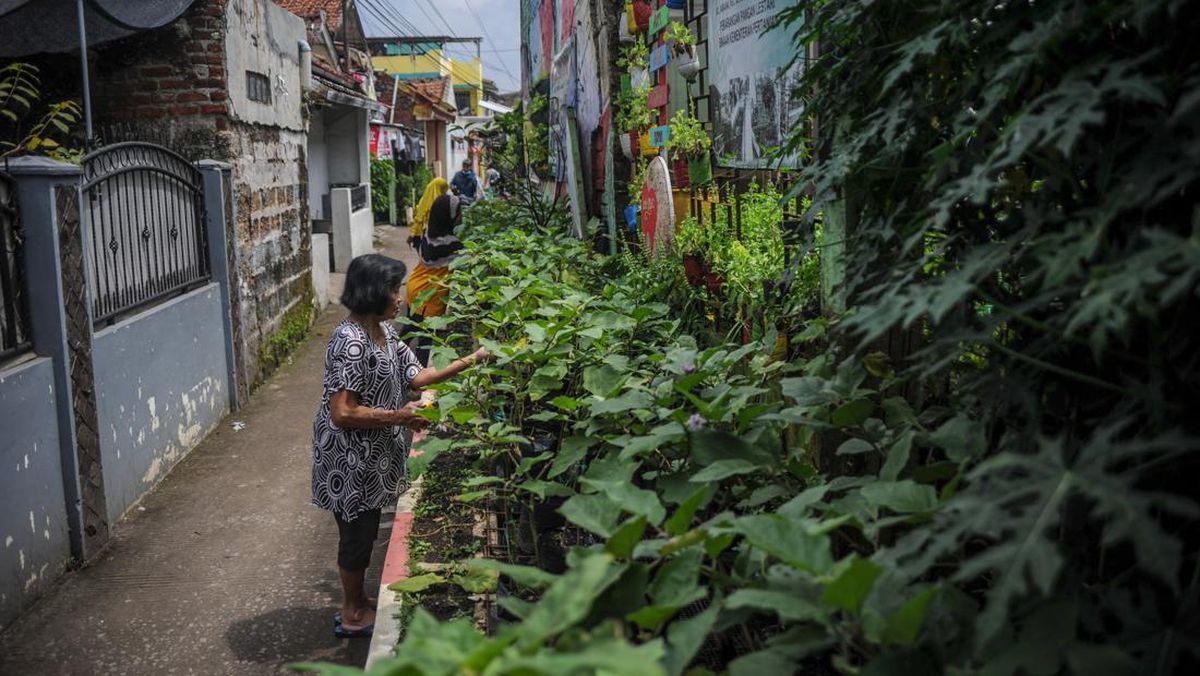 5 Cara Berkebun di Halaman Rumah yang Sempit, Panen Tetap Melimpah