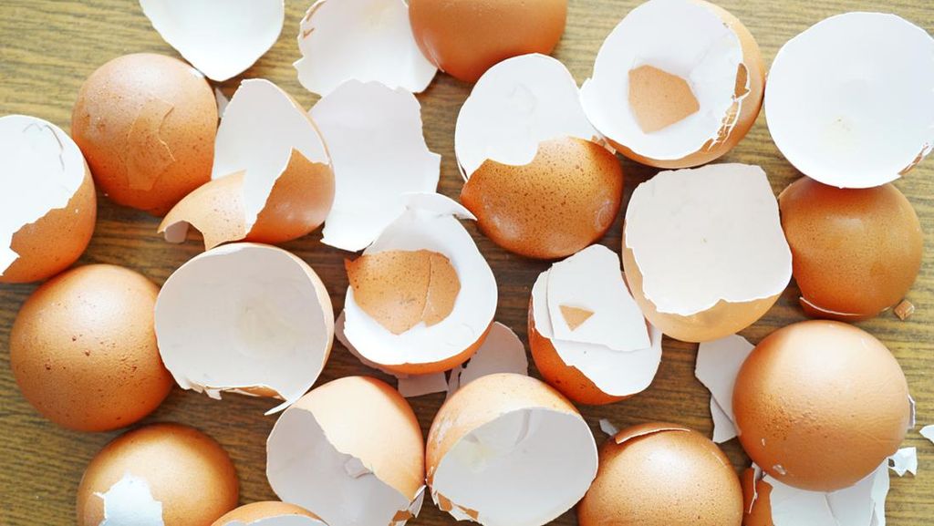 Apa Benar Makan Telur Bikin Bisulan? Ternyata Begini Faktanya