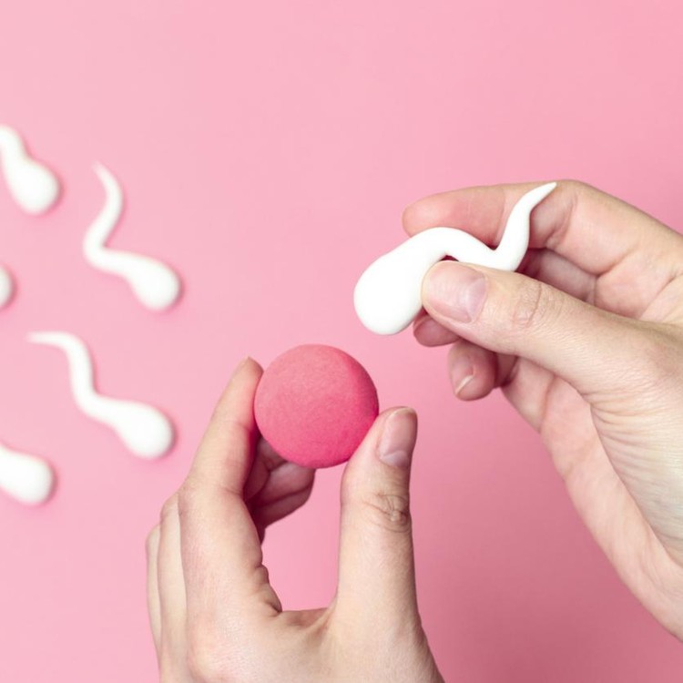 Ilustrasi Inseminasi Buatan Ilustrasi Inseminasi Buatan