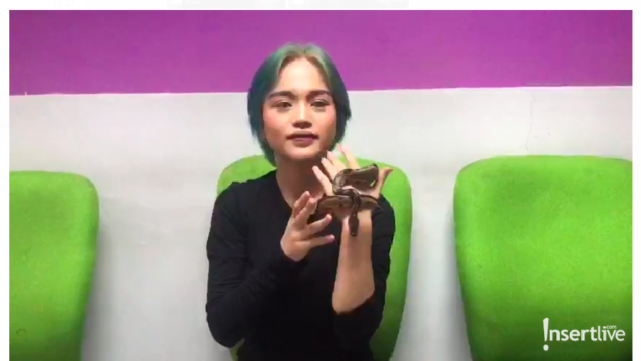 Jeje Slebew