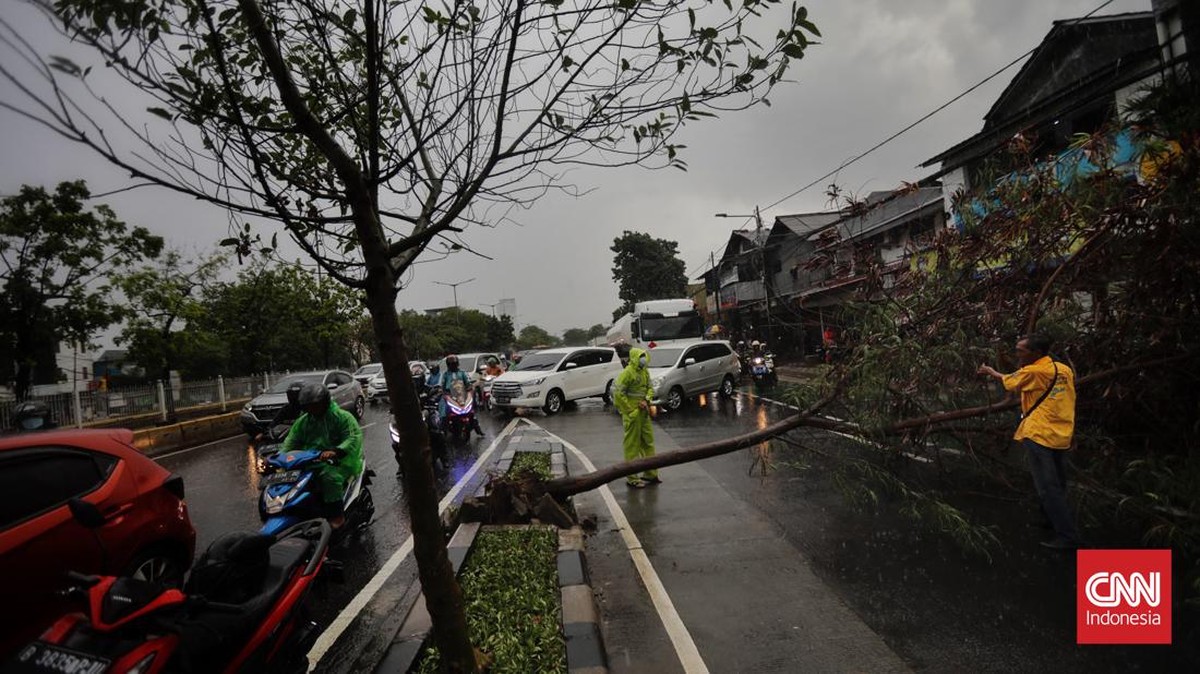 FOTO: Pohon Tumbang dan Banjir Rendam Jakarta Usai Hujan Angin