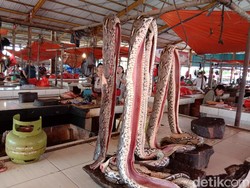 Begini Cara Warga Minahasa Olah Daging Ular Jadi Hidangan yang Nikmat