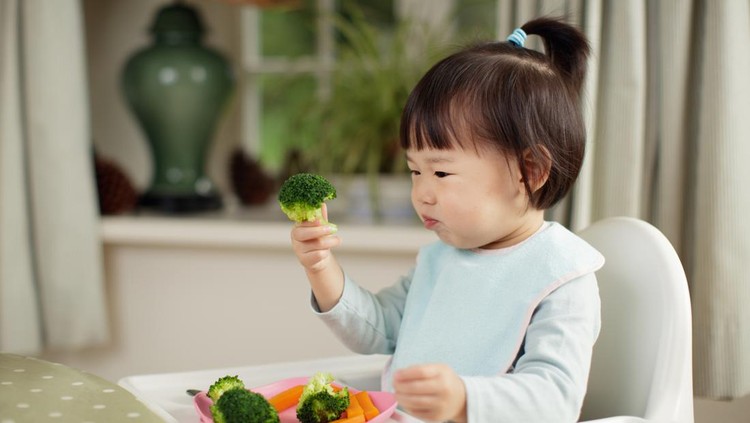 toddler girl eating  healthy  vegetable sitting on high chair beside a dinner table at home