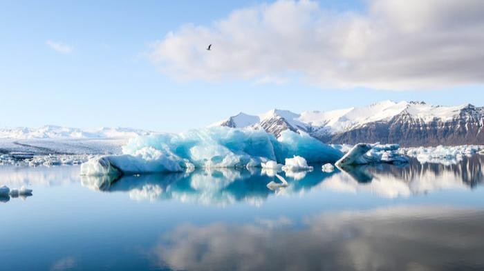 Perusahaan Ini Siap Bayar Rp763 Juta untuk Jalani Hidup Sederhana di Islandia, Tertarik Coba? Perusahaan Ini Siap Bayar Rp763 Juta untuk Jalani Hidup Sederhana di Islandia, Tertarik Coba?