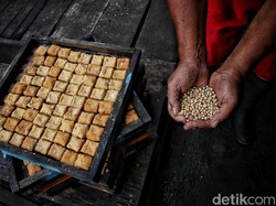 Siap-siap! Buntut Dolar Ngamuk, Harga Tahu-Tempe Bakal Naik