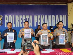 Pemilik Penampungan Kucing Mati Berserakan di Pekanbaru Ditangkap!