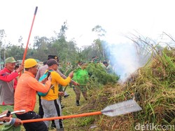 Banyuwangi Gelar Simulasi Tanggap Bencana Antisipasi Kebakaran Hutan