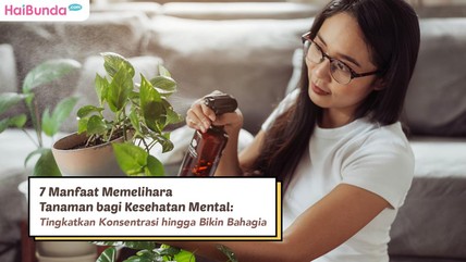 Detik Network