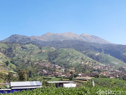 Mau Ajak Anak Mendaki Gunung Merbabu? Ini Syaratnya Lur