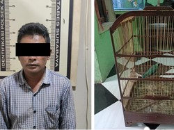 Pria Surabaya Kepergok Curi Burung Cucak Ijo di Rumah Pensiunan Polisi