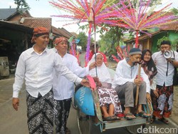 Tradisi Angon Putu, Nenek di Kudus Menggembala Cucu Bawa Cambuk