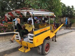 Kisah Kusir Cidomo Bertahan di Tengah Hiruk Pikuk Gili Trawangan