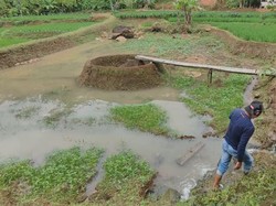 Batu Situs Ciluncat Ciamis Ini Dipercaya Sembuhkan Penyakit