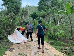 Cari Pakan Ternak, Warga Tepus Gunungkidul Tewas Kesetrum