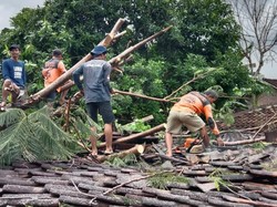 Hujan Deras Landa Klaten, 1 Rumah Tertimpa Pohon-Permukiman Terendam