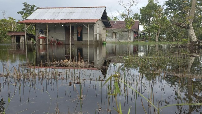 FOTO: Banjir Kepung Kalimantan Barat