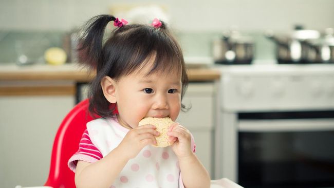 5 Rekomendasi Snack Bayi untuk Selingan MPASI, Lengkap dengan Review & Harga - HaiBunda