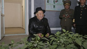 Belajar dari Kim Jong Un, Duduk Tertib saat Nonton Red Velvet Manggung