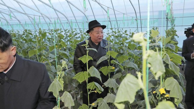 Pemimpin Korea Utara Kim Jong Un berencana melakukan "revolusi industri" di berbagai desa Korea Utara.