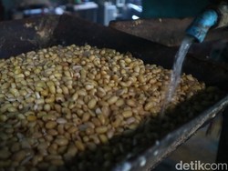 Zulhas Bilang Stok Kedelai Cukup 1 Minggu Hoax, Badan Pangan Jawab Begini