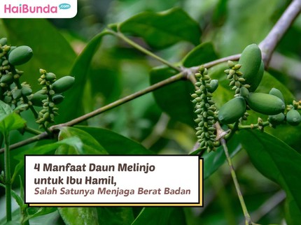4 Manfaat Daun Melinjo untuk Ibu Hamil, Salah Satunya Menjaga Berat Badan