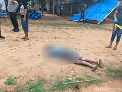 Misteri Penembakan di Arena Sabung Ayam yang Diduga Dilakukan Amatir