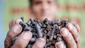 Kementerian ESDM Beber Tantangan Pakai Biomassa Buat PLTU