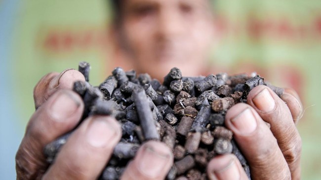 Kementerian ESDM mengungkap tantangan pemanfaatan biomassa sebagai bahan bakar pendamping batu bara (co-firing) Pembangkit Listrik Tenaga Uap (PLTU).