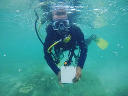 Hidden Gem Indonesia Timur, Spot Snorkeling-Diving Cantik di Tanimbar