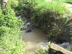 Detik-detik Pemotor Wanita Subang Hilang Terseret Arus Sungai