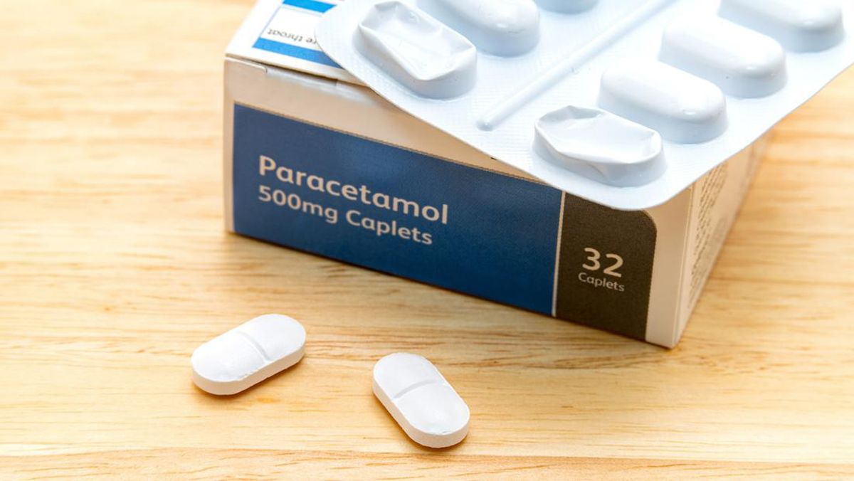 Kementan Respons Petani Pakai Paracetamol Buat Suburkan Tanaman