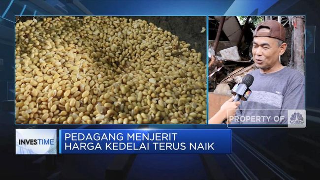 Pedagang Menjerit Harga Kedelai Terus Naik