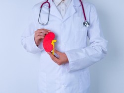 8 Kebiasaan Sehari-hari Picu Penyakit Ginjal, Nomor 1 Paling Sering Dilakukan
