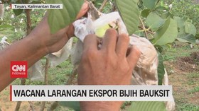 VIDEO: Wacana Larangan Ekspor Bijih Bauksit