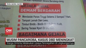 VIDEO: Musim Pancaroba, Kasus DBD Meningkat