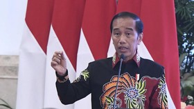 Jokowi Sebut Harga Bahan Pokok Stabil, Cuma Kangkung yang Naik