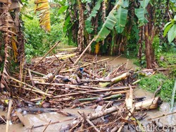 BPBD Sebut Sampah Pepohonan Penyebab Banjir di Pesanggaran Banyuwangi