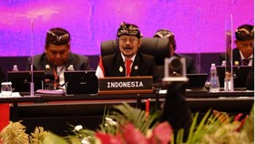 Hari Pangan Sedunia, Mentan Ajak  Kolaborasi Kecukupan Pangan Dunia