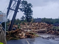 Fakta 5 Korban Tewas-1 Hilang Akibat Tanah Longsor dan Banjir di Bali